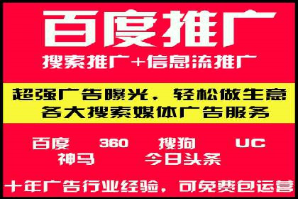 SEM广告投放案例：打造品牌影响力